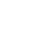 FacebookIcon